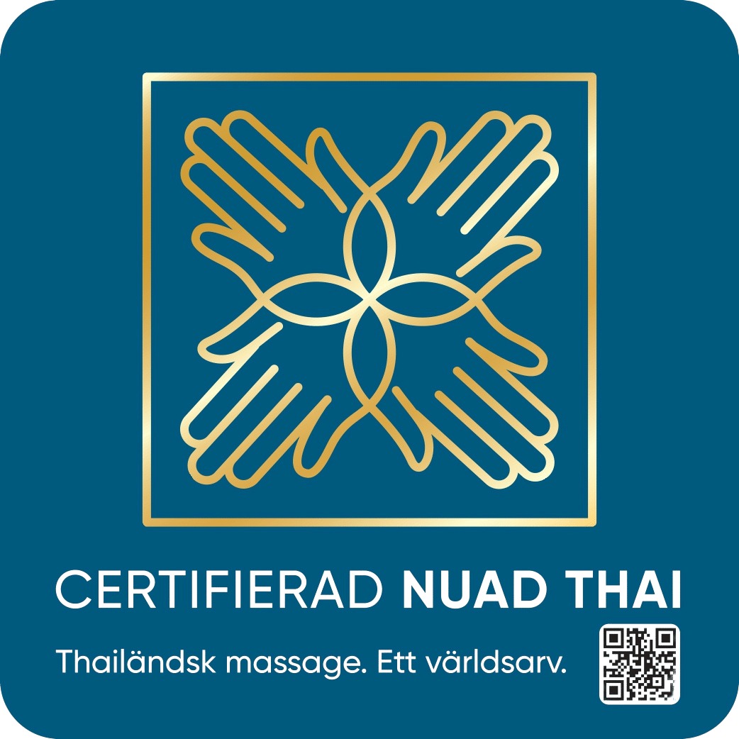 Other city เมืองอื่น NTN – logo typ